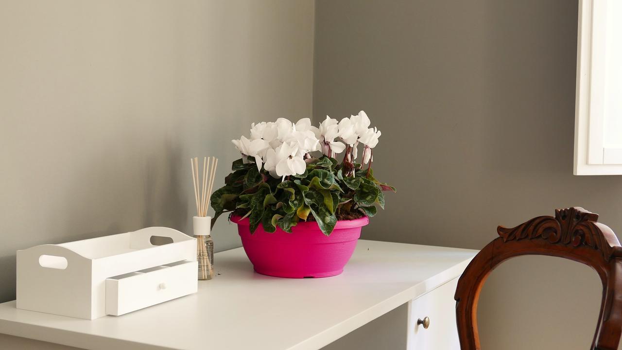 B&B Residenza Maiano Florence Ngoại thất bức ảnh